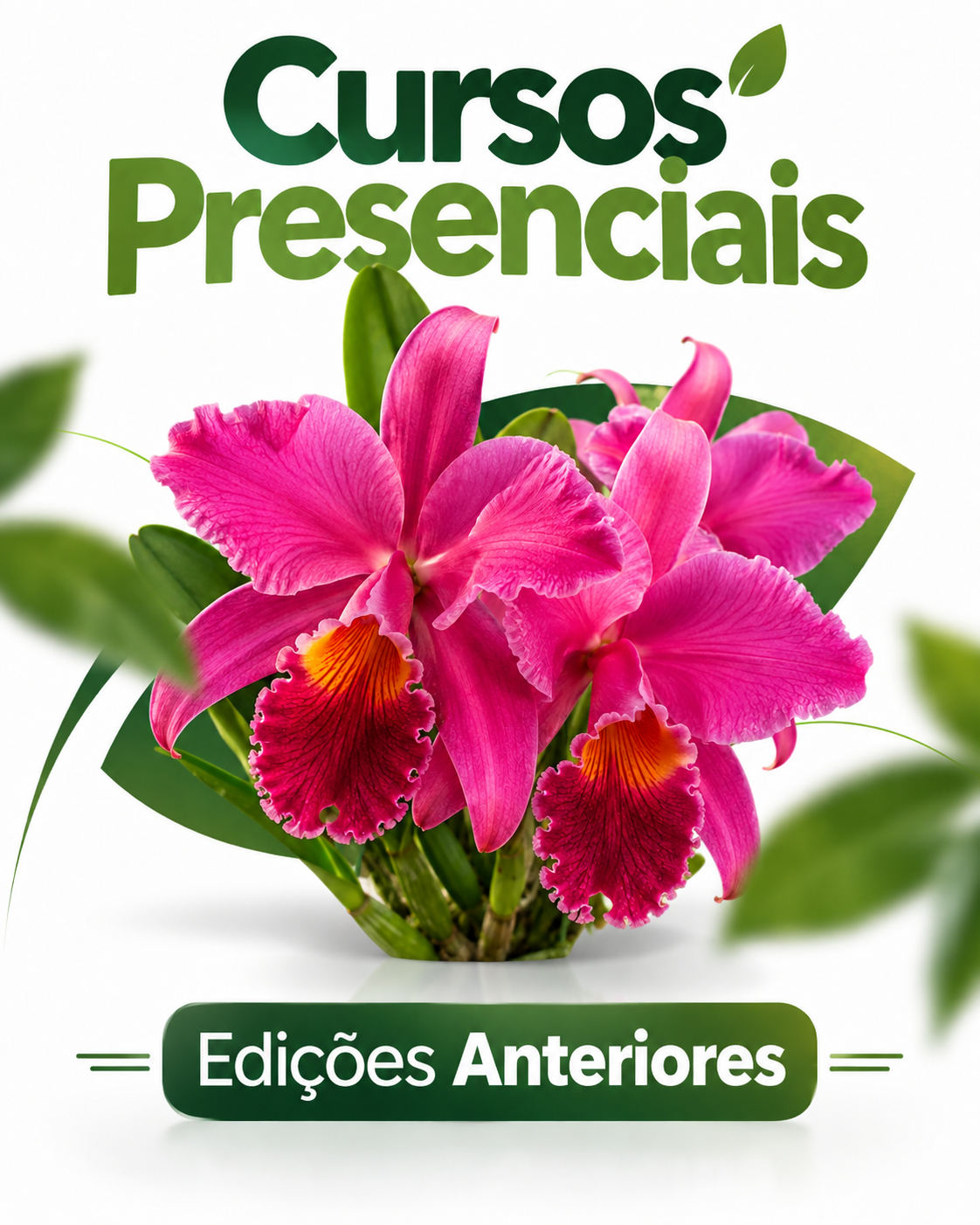 Cursos presenciais - Edições anteriores