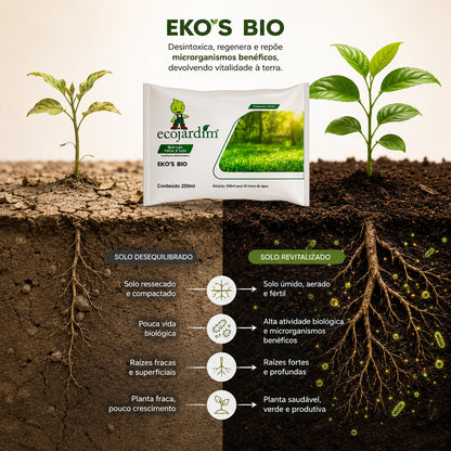 Eko's Bio