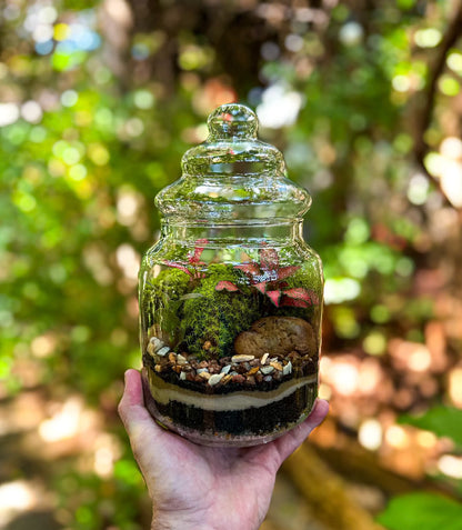 CURSO DE TERRÁRIO - 29/08/2026